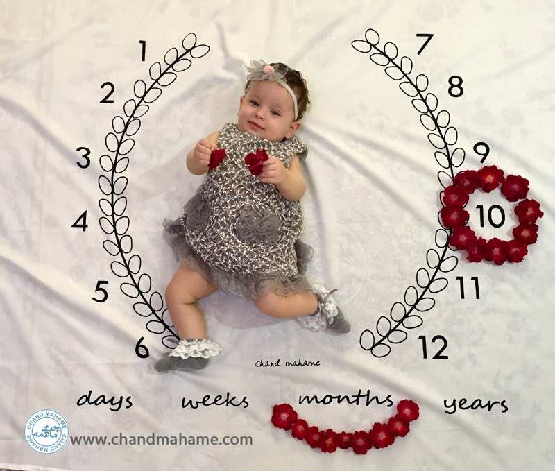 پارچه ماه شمار طرح شاخه زیتون هیراد پورعسگری