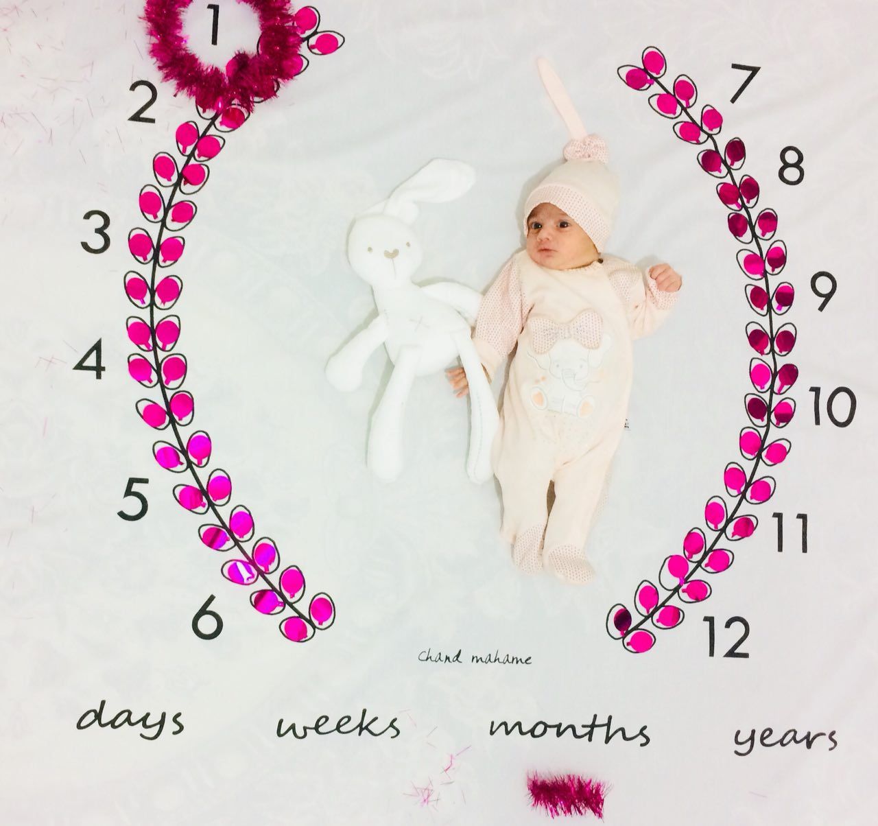 پارچه ماه شمار طرح شاخه زیتون هیراد پورعسگری