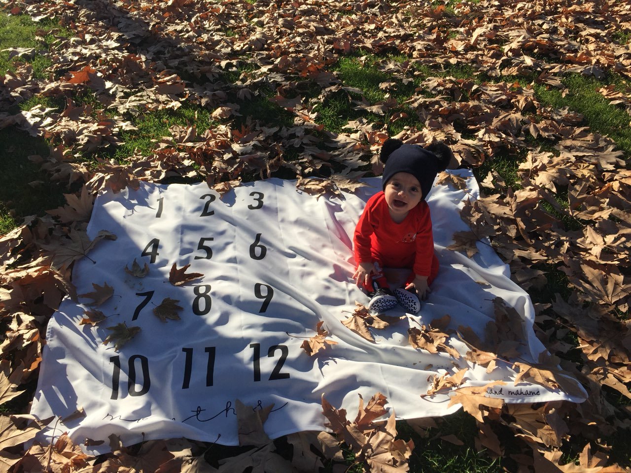 تم عکس پاییزی نوزاد هیراد پورعسگری