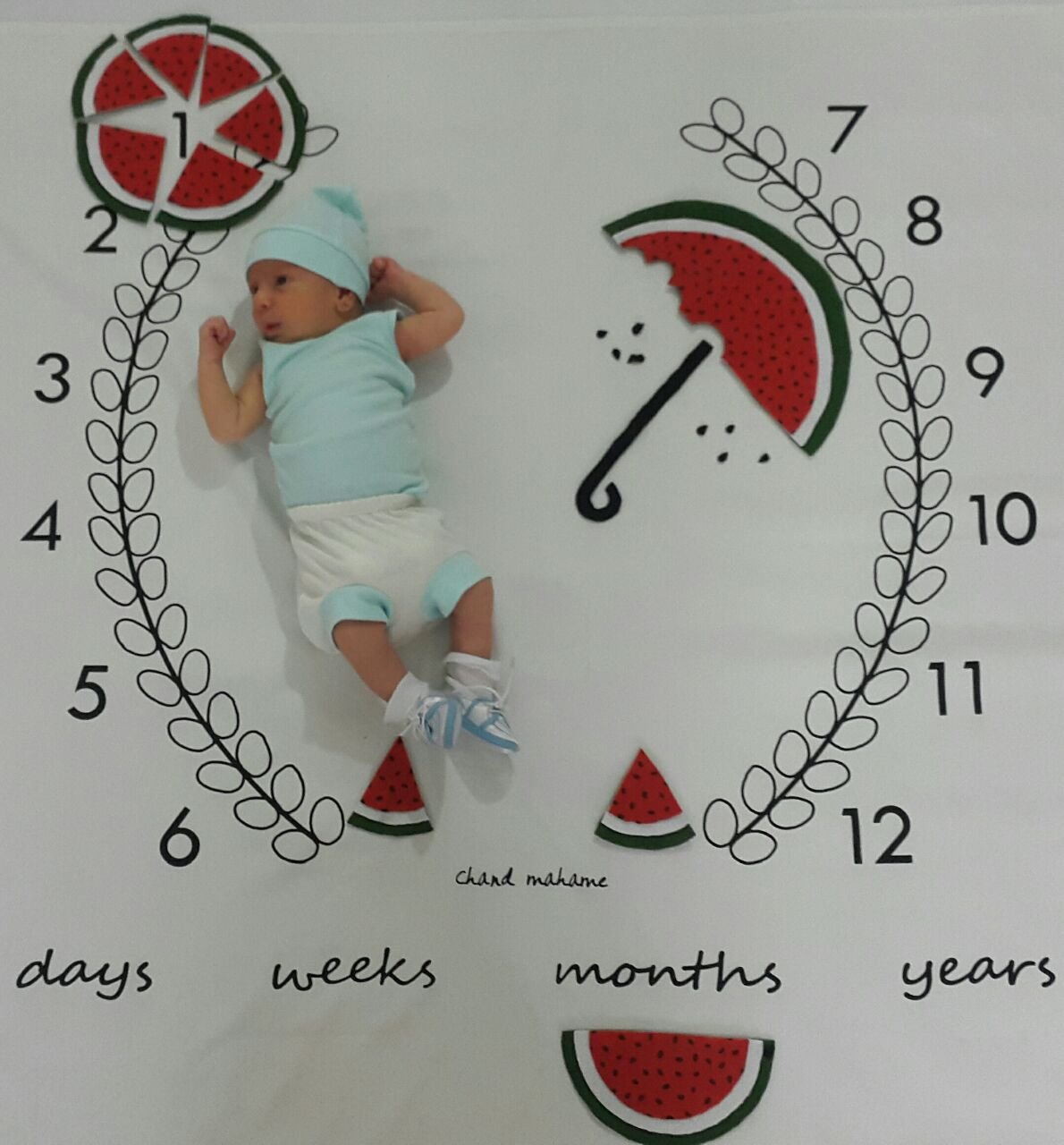 پارچه ماه شمار طرح شاخه زیتون هیراد پورعسگری