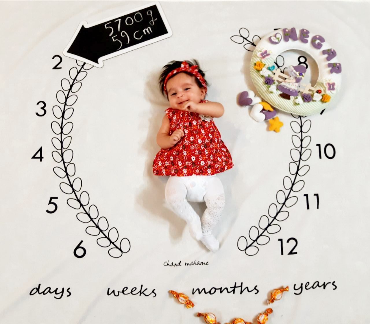 پارچه ماه شمار طرح شاخه زیتون هیراد پورعسگری