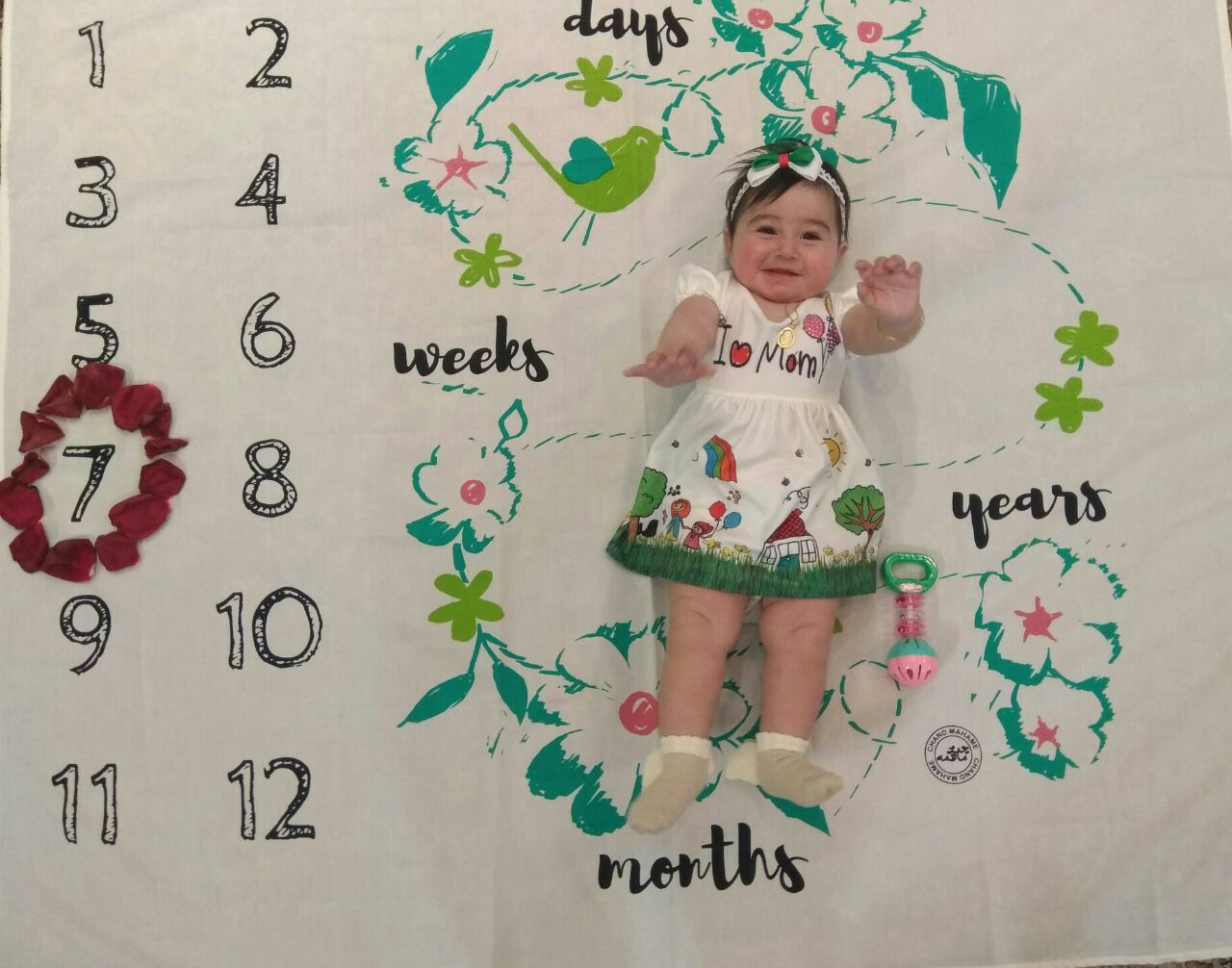 هفت ماهگی نوزاد هیراد پورعسگری