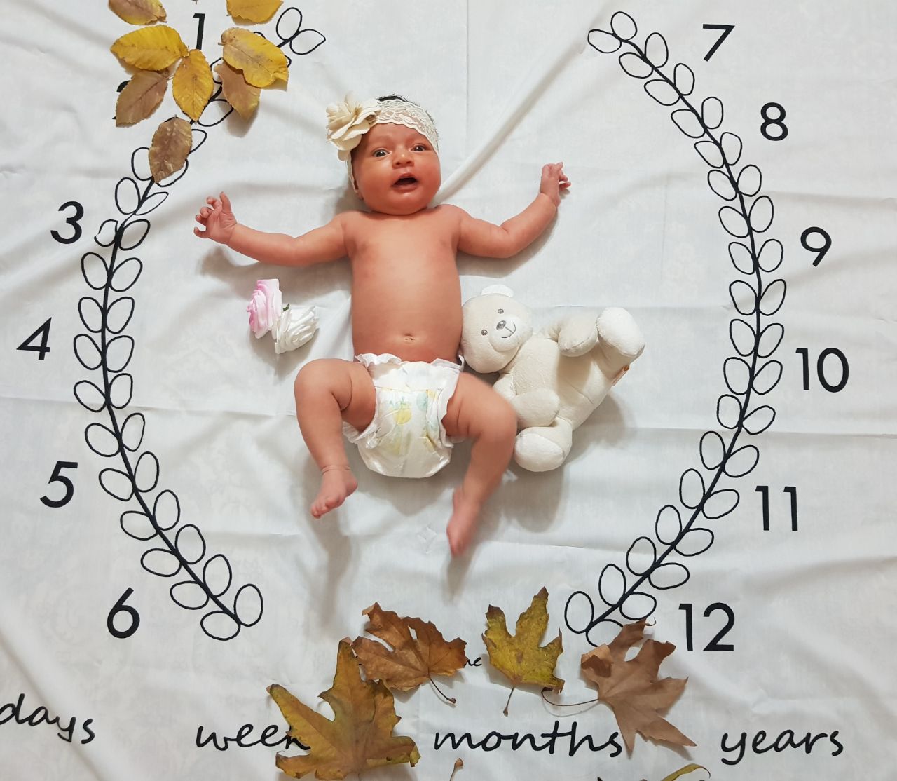 پارچه ماه شمار طرح شاخه زیتون هیراد پورعسگری