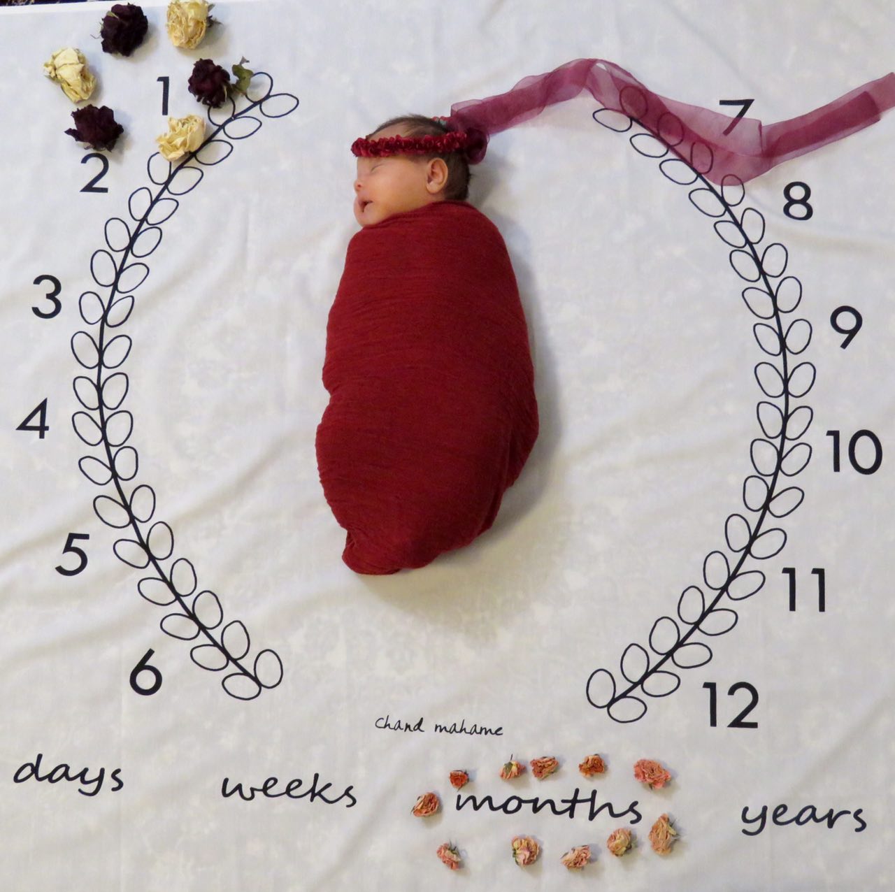 پارچه ماه شمار طرح شاخه زیتون هیراد پورعسگری