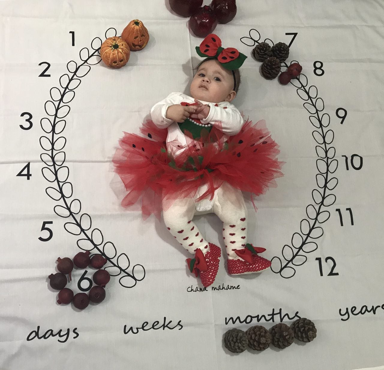 شش ماهگی نوزاد هیراد پورعسگری