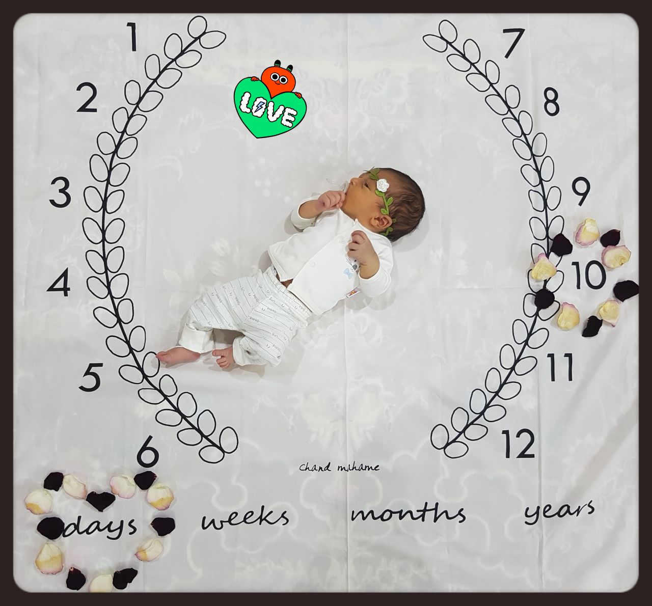 ده ماهگی نوزاد هیراد پورعسگری