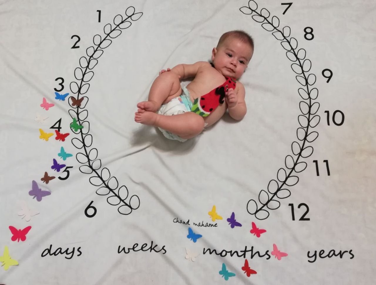 تم-و-تزیینات-نمدی-885