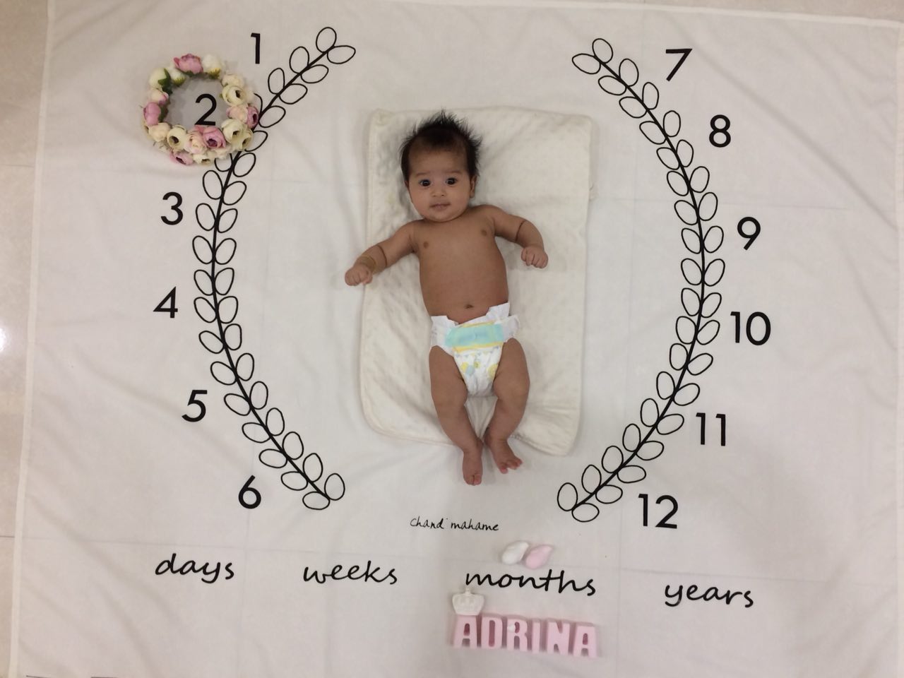 پارچه-های-عکاسی-895