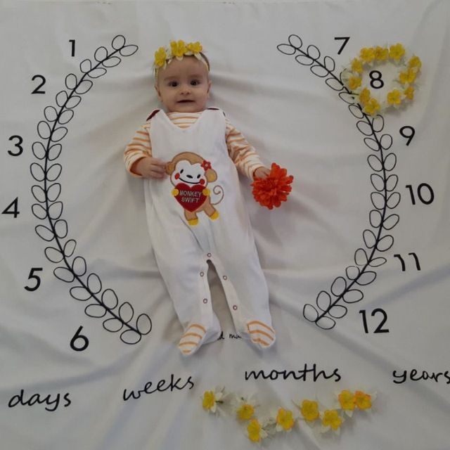 پارچه ماه شمار طرح شاخه زیتون هیراد پورعسگری