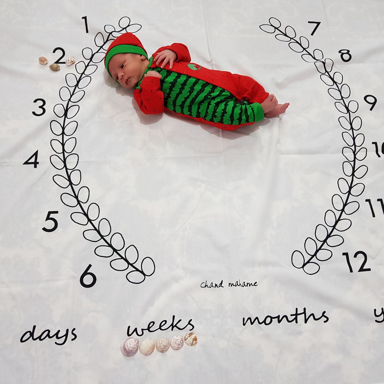 شب یلدا کودک هیراد پورعسگری