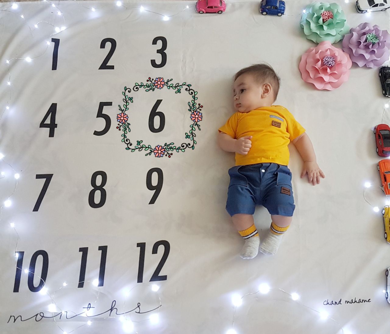 ریسه تزیینی هیراد پورعسگری