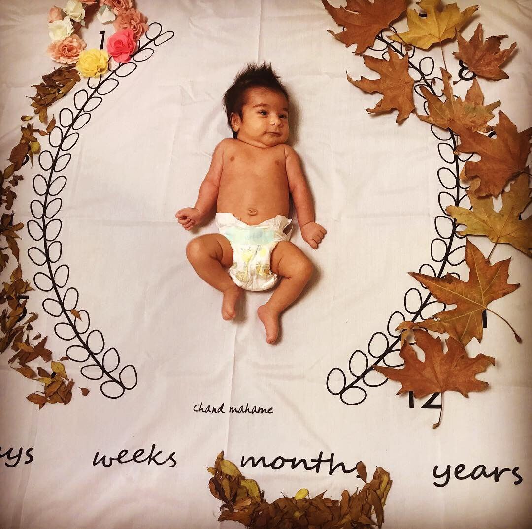 پارچه ماه شمار طرح شاخه زیتون هیراد پورعسگری