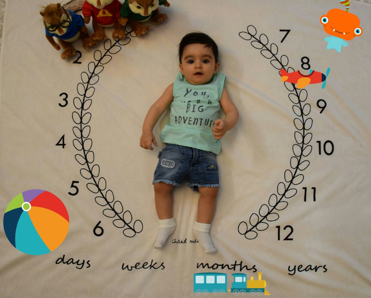 پارچه ماه شمار طرح شاخه زیتون هیراد پورعسگری