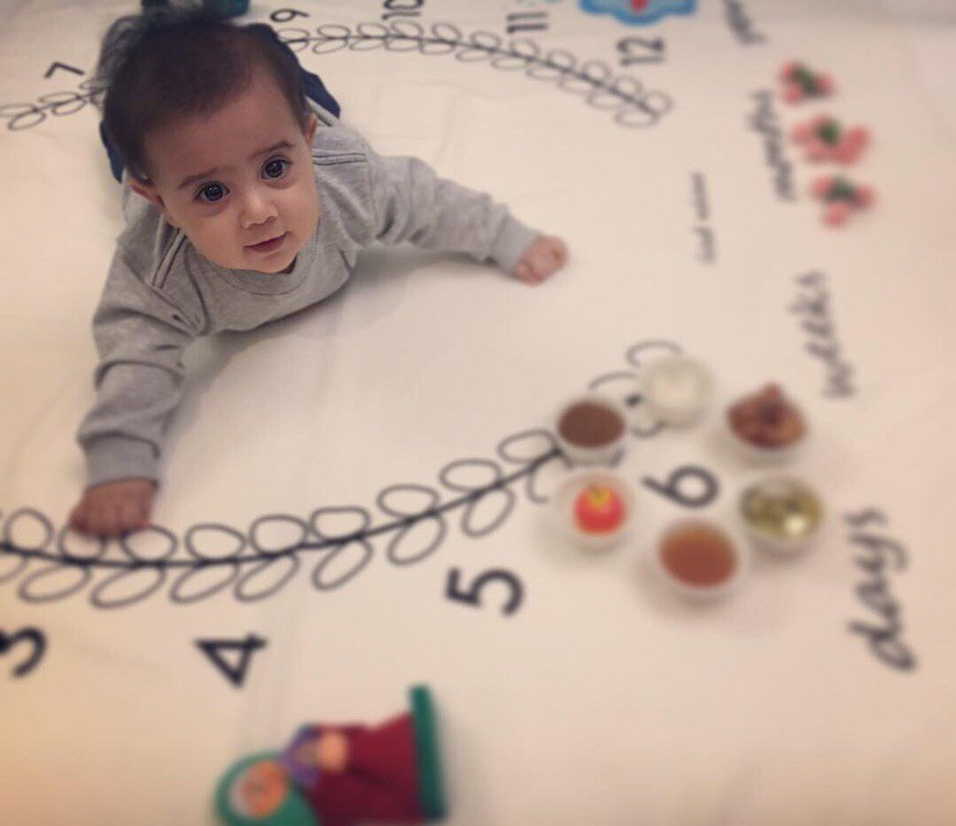 پارچه ماه شمار طرح شاخه زیتون هیراد پورعسگری