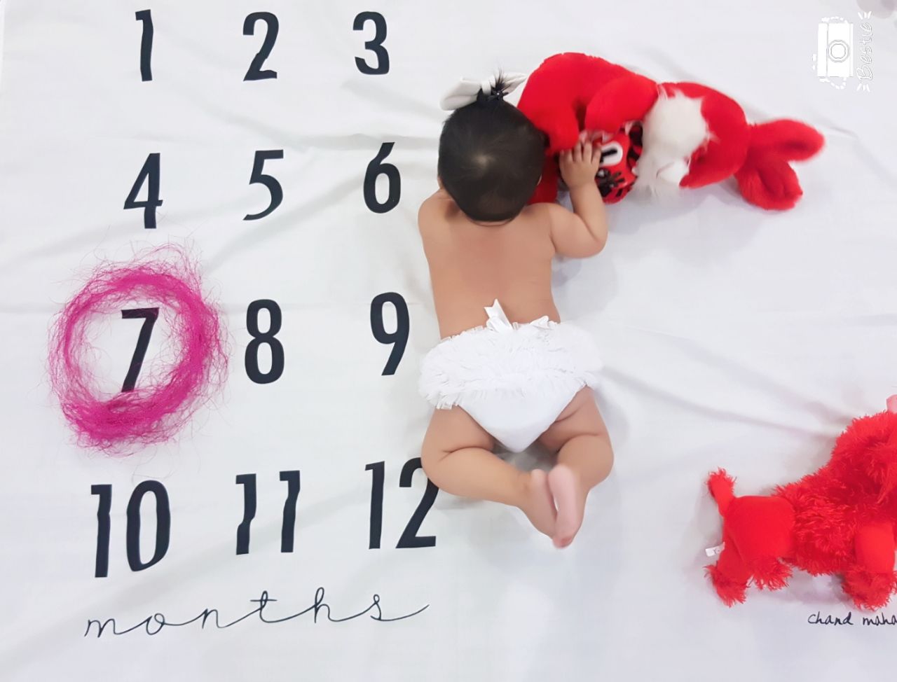 پارچه ماهگرد نوزاد طرح کلاسیک هیراد پورعسگری