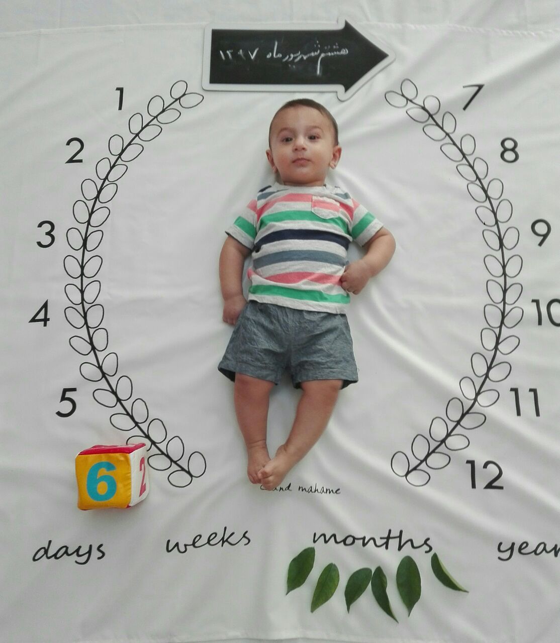 شش ماهگی نوزاد هیراد پورعسگری