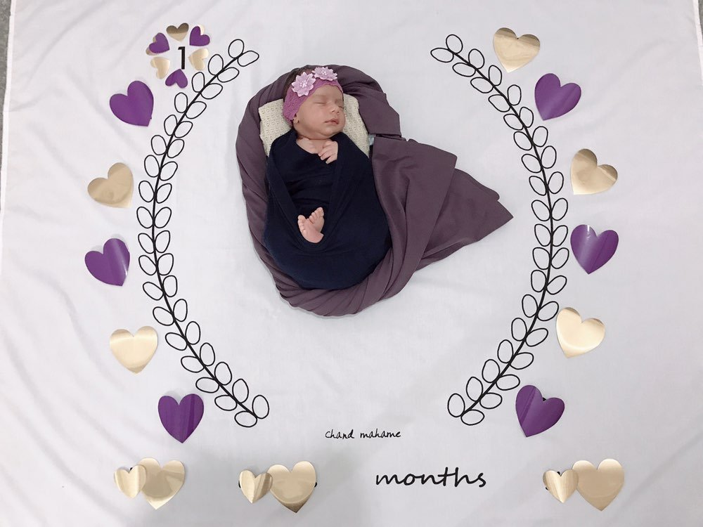 پارچه ماه شمار طرح شاخه زیتون هیراد پورعسگری