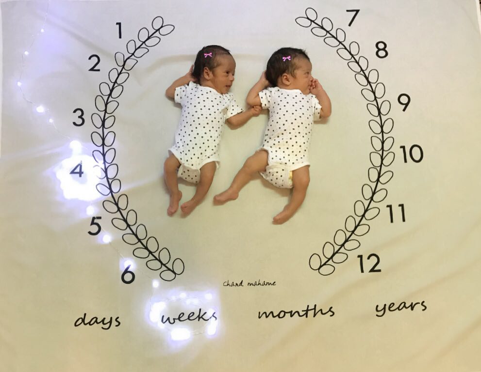 ریسه تزیینی هیراد پورعسگری