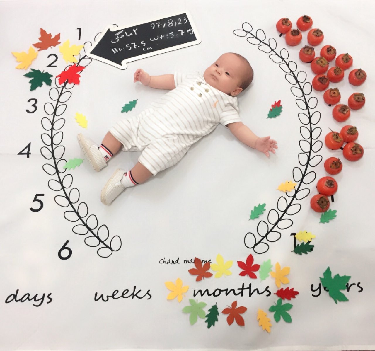 تم عکس پاییزی نوزاد هیراد پورعسگری