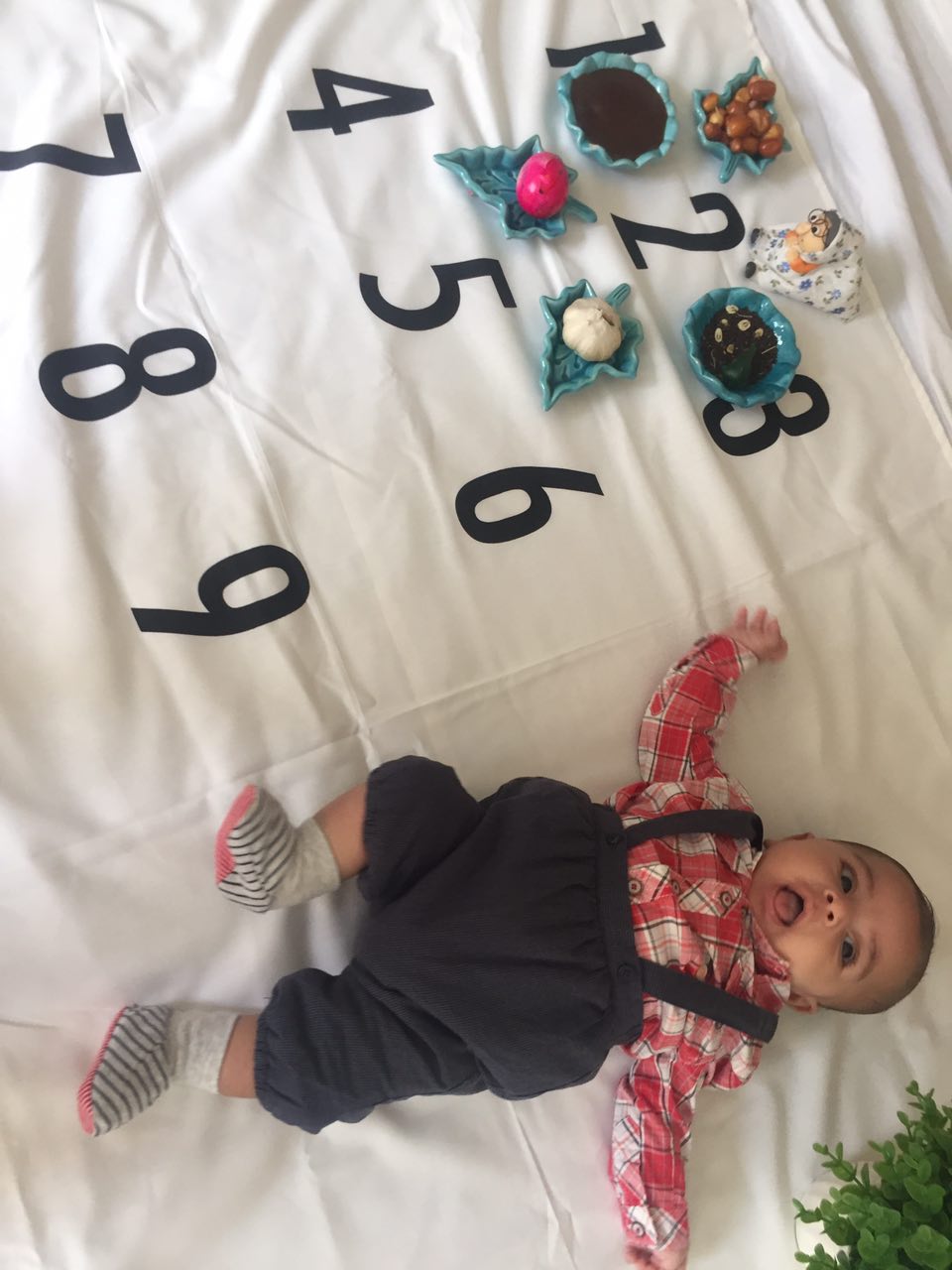 دو ماهگی نوزاد هیراد پورعسگری