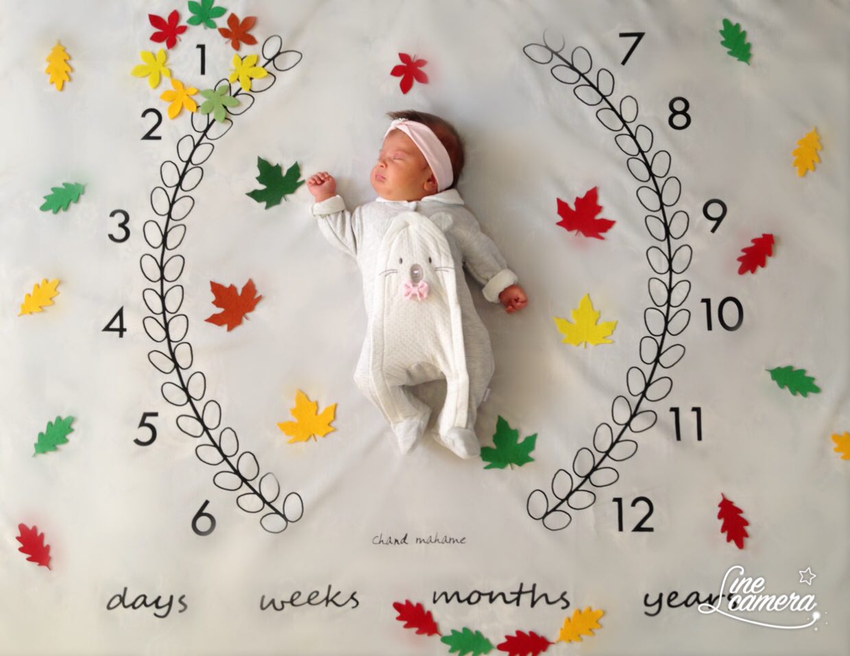 تم عکس پاییزی نوزاد هیراد پورعسگری