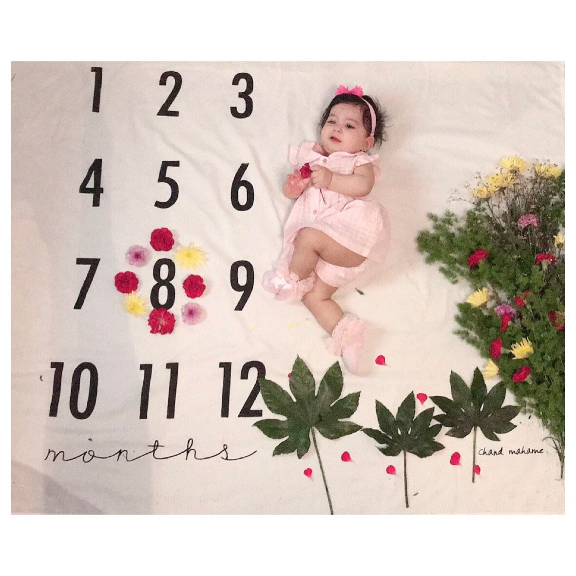 تم عکس بهاری کودک هیراد پورعسگری