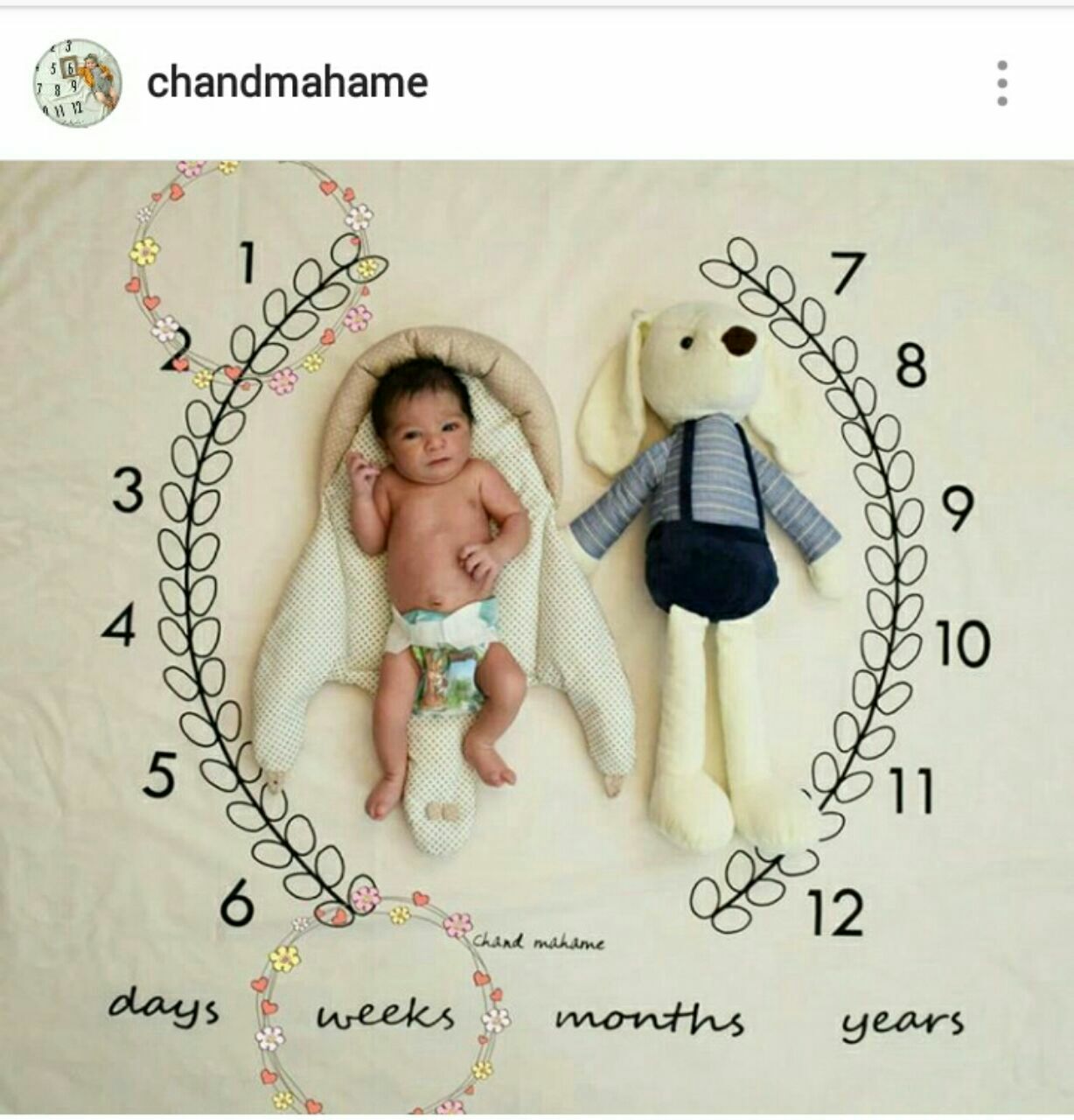 پارچه ماه شمار طرح شاخه زیتون هیراد پورعسگری