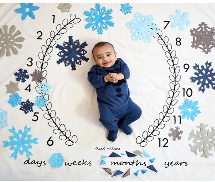 پارچه ماه شمار طرح شاخه زیتون هیراد پورعسگری