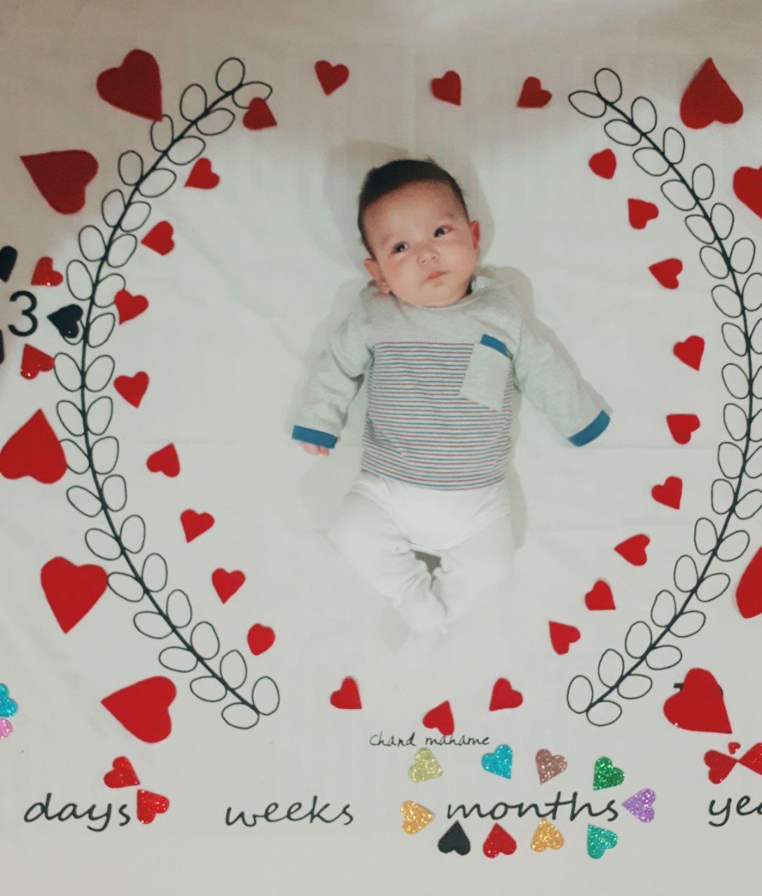 پارچه ماه شمار طرح شاخه زیتون هیراد پورعسگری