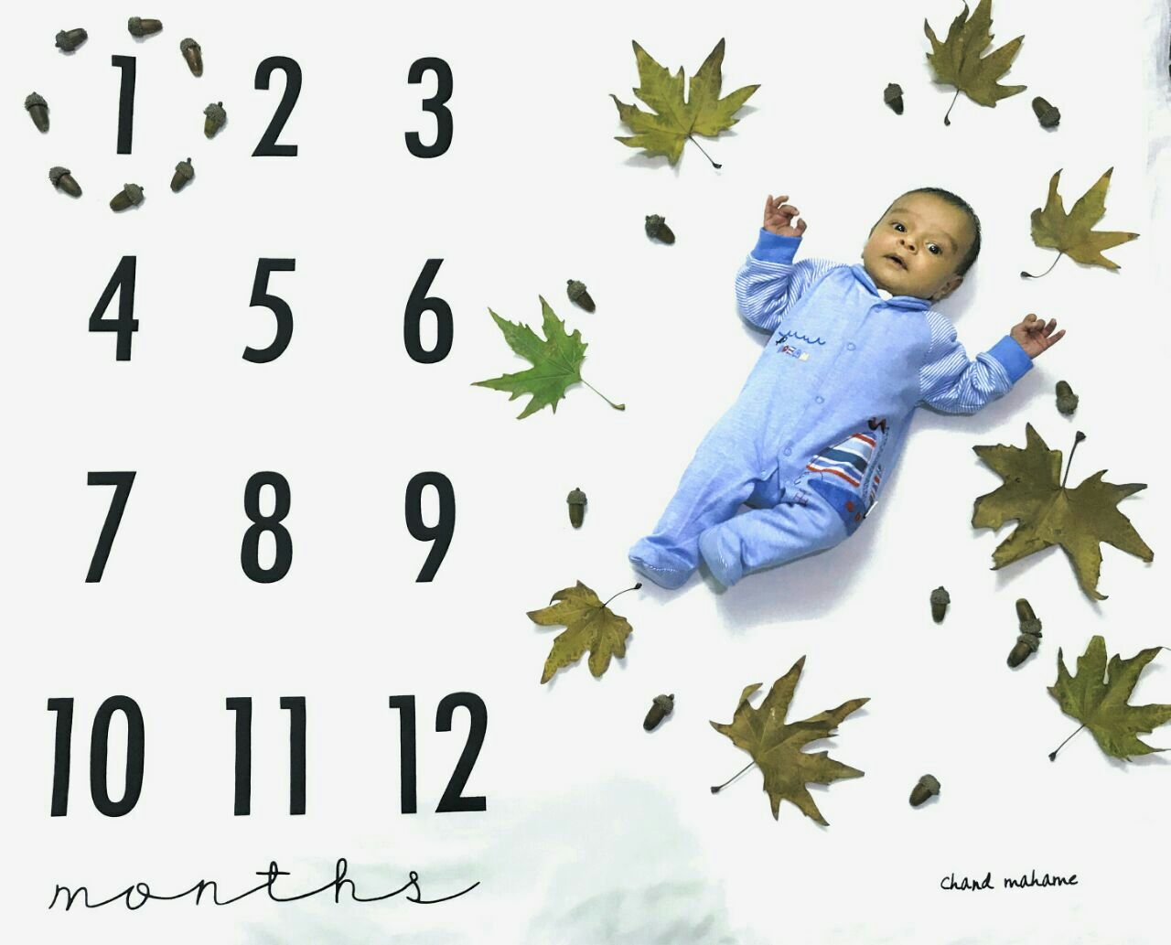 تم عکس پاییزی نوزاد هیراد پورعسگری