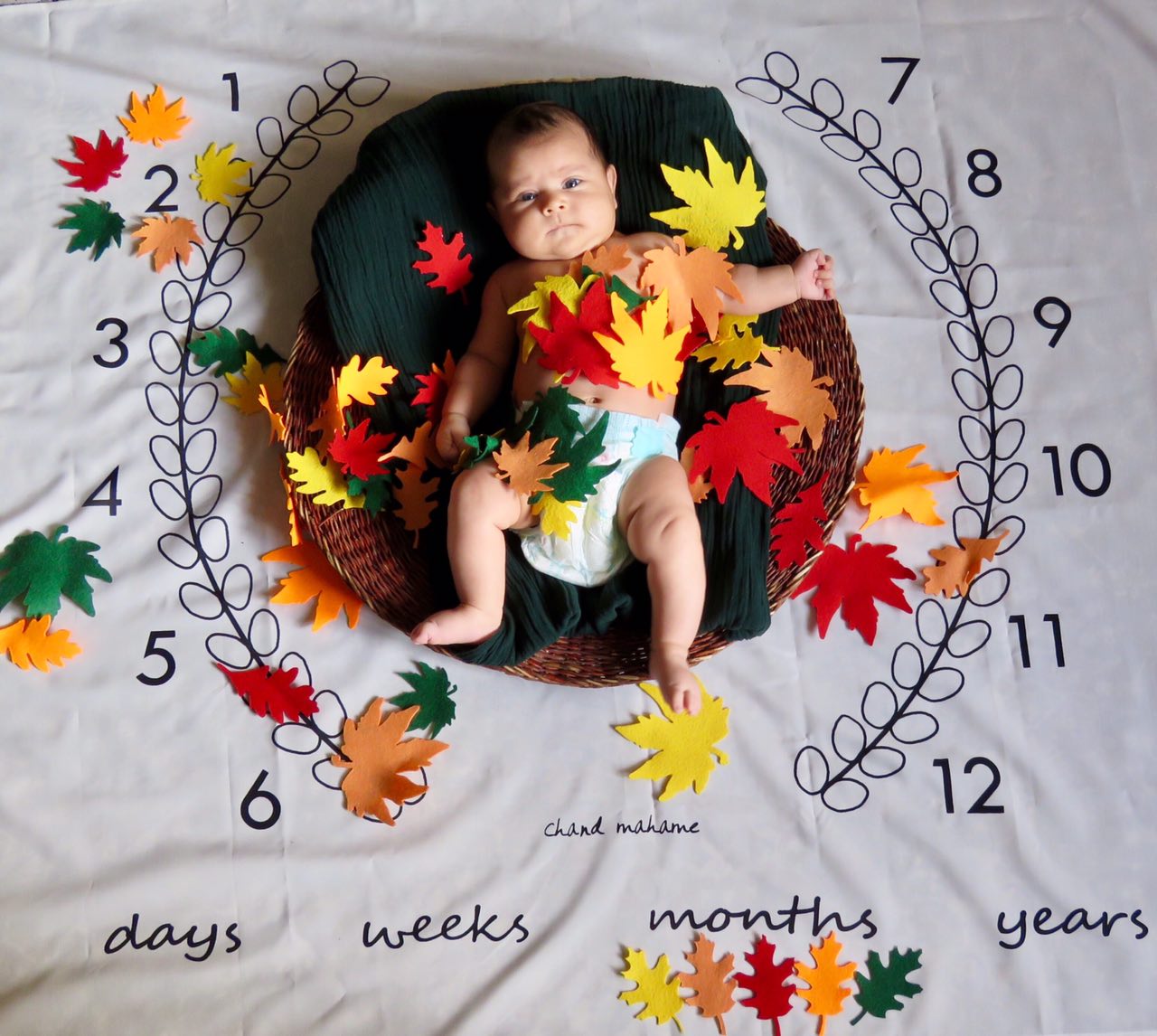 پارچه ماه شمار طرح شاخه زیتون هیراد پورعسگری