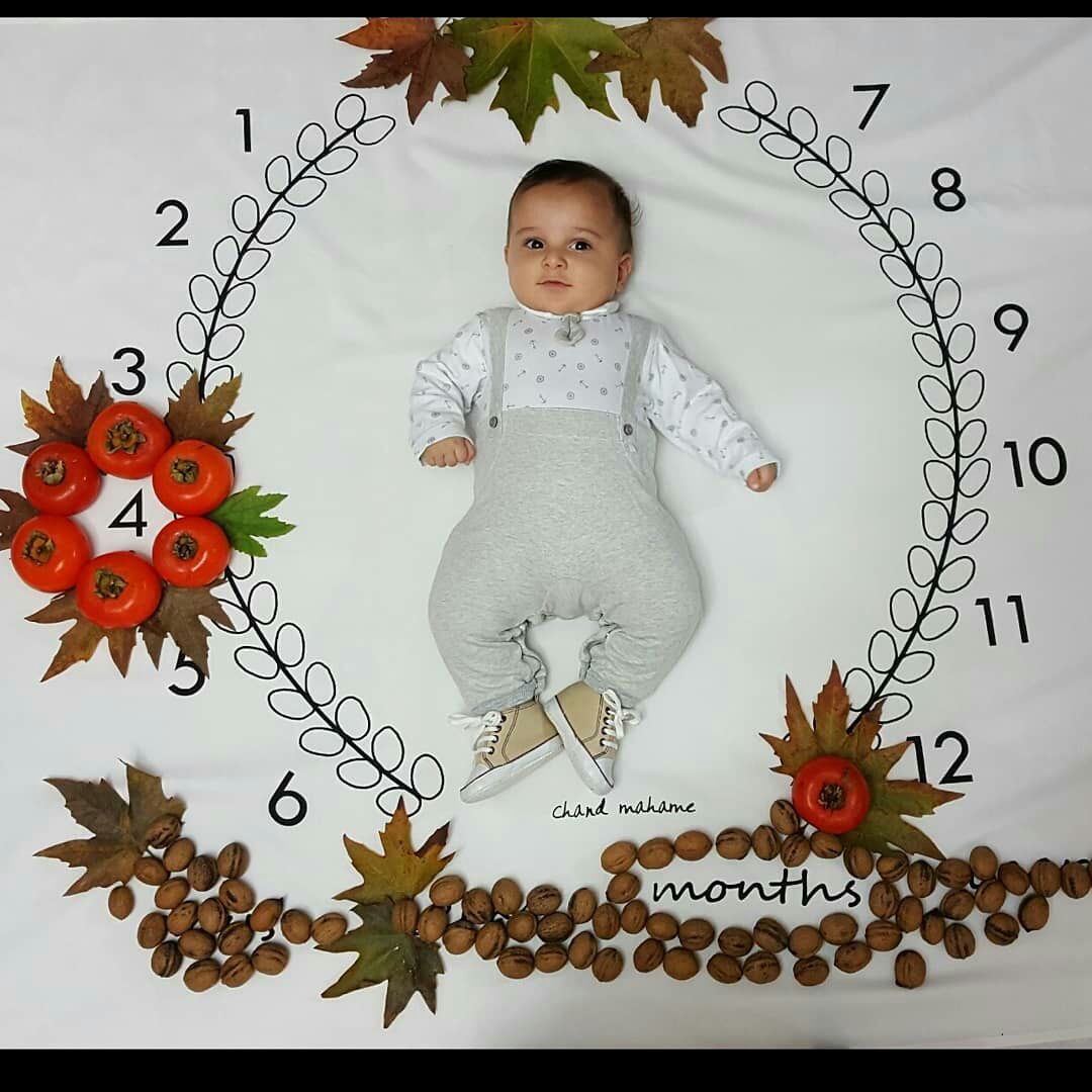 پارچه ماه شمار طرح شاخه زیتون هیراد پورعسگری