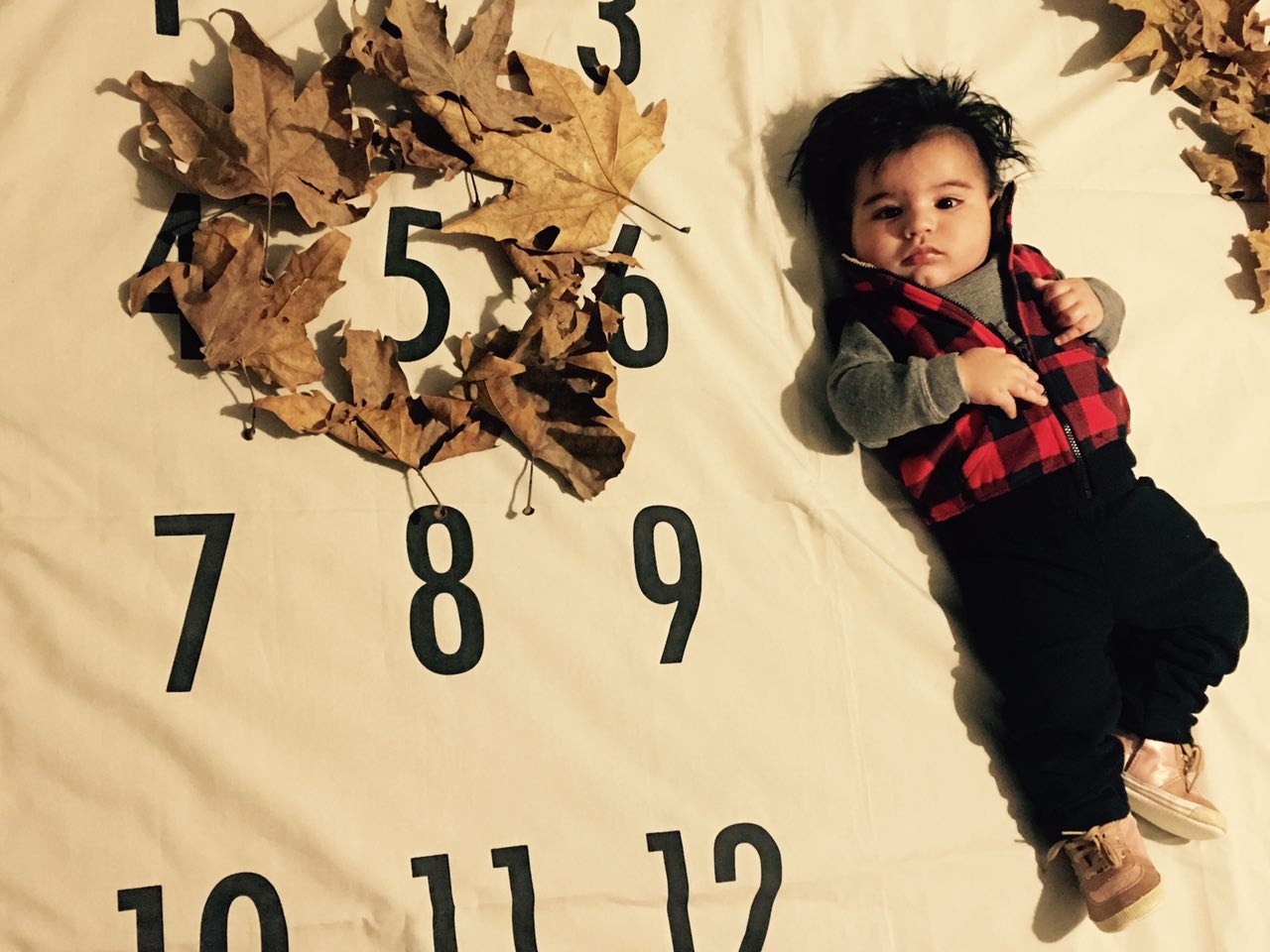 تم عکس پاییزی نوزاد هیراد پورعسگری