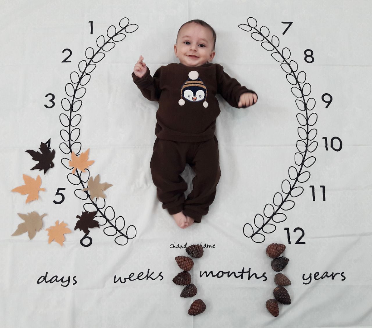 عکس نوزاد پسر هیراد پورعسگری