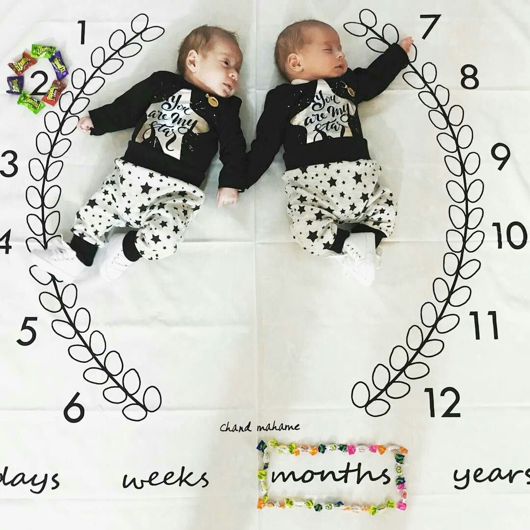 پارچه ماه شمار طرح شاخه زیتون هیراد پورعسگری