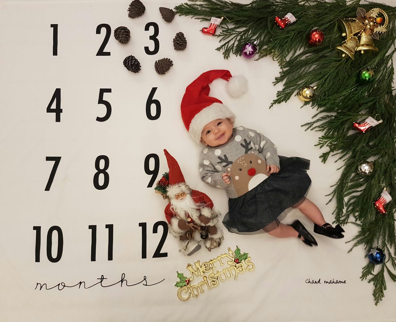 تم عکس زمستانی نوزاد هیراد پورعسگری