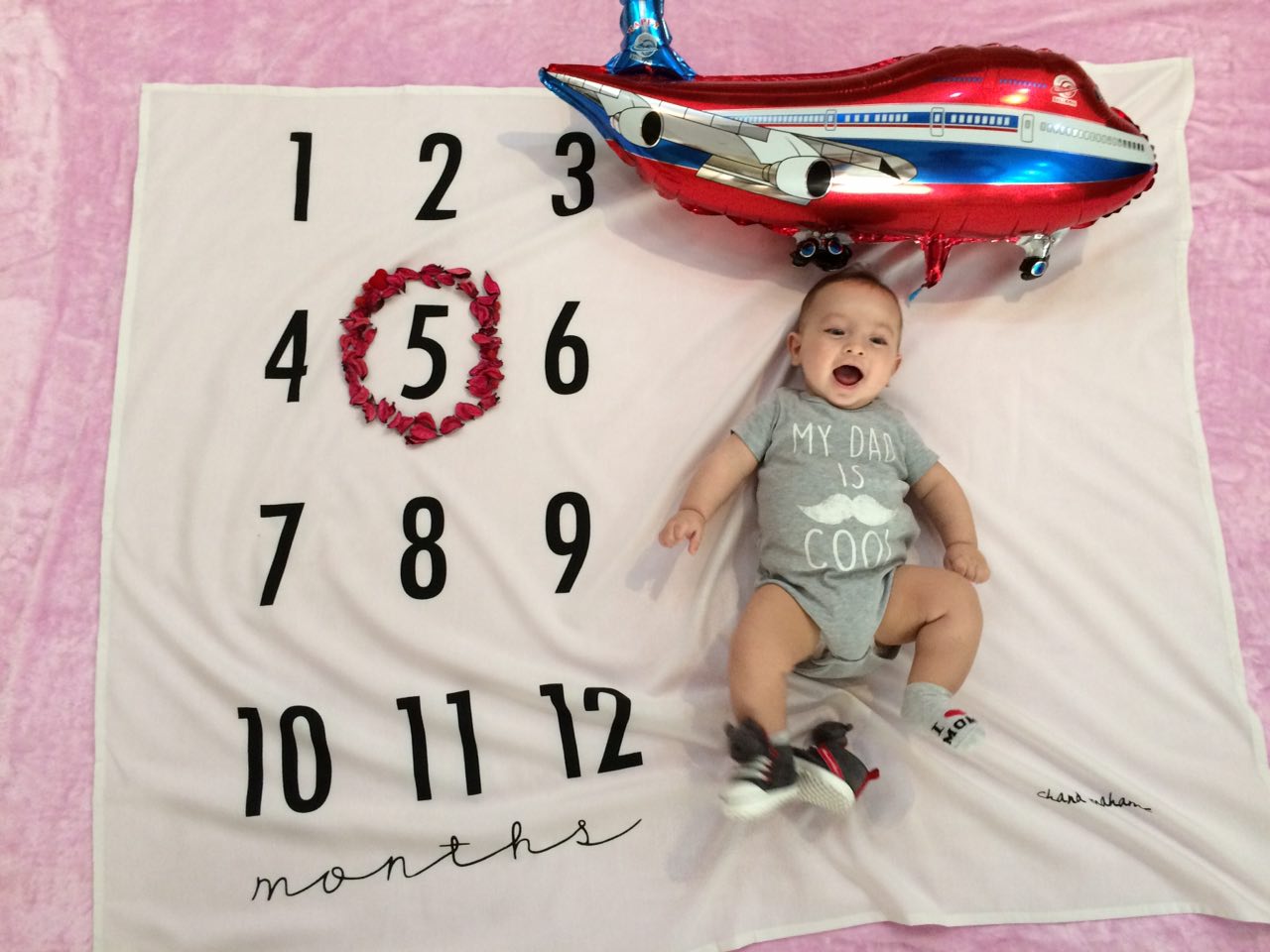 پنج ماهگی نوزاد هیراد پورعسگری