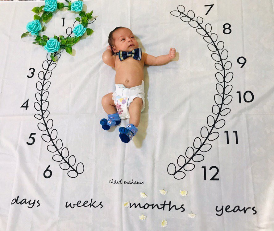 پارچه ماه شمار طرح شاخه زیتون هیراد پورعسگری