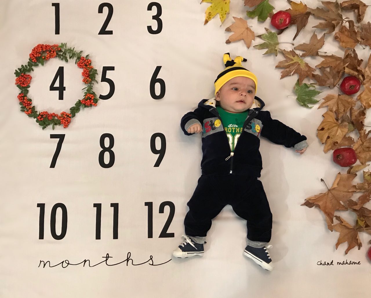 تم عکس پاییزی نوزاد هیراد پورعسگری