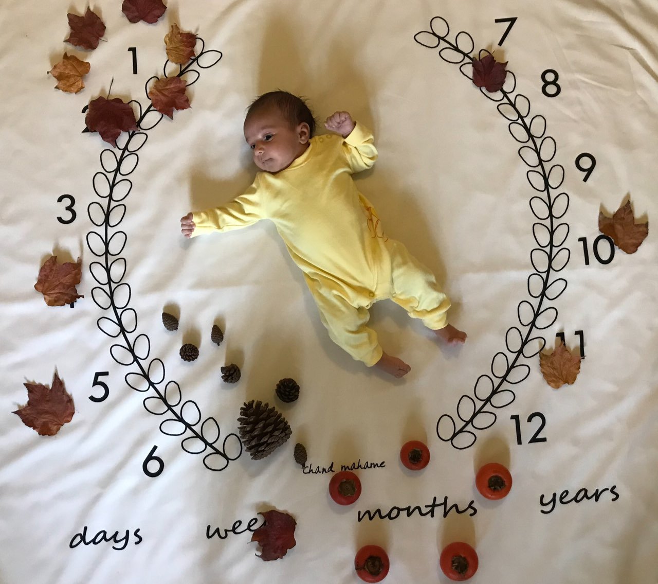 تم عکس پاییزی نوزاد هیراد پورعسگری