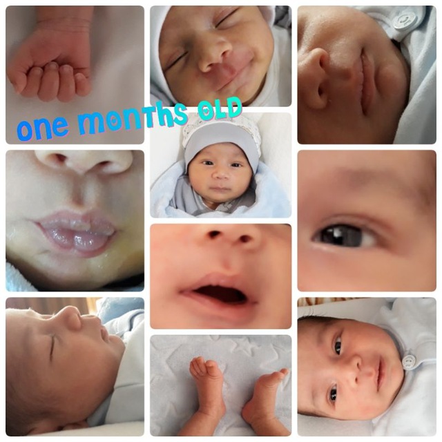 عید نوروز آدرین معروفی