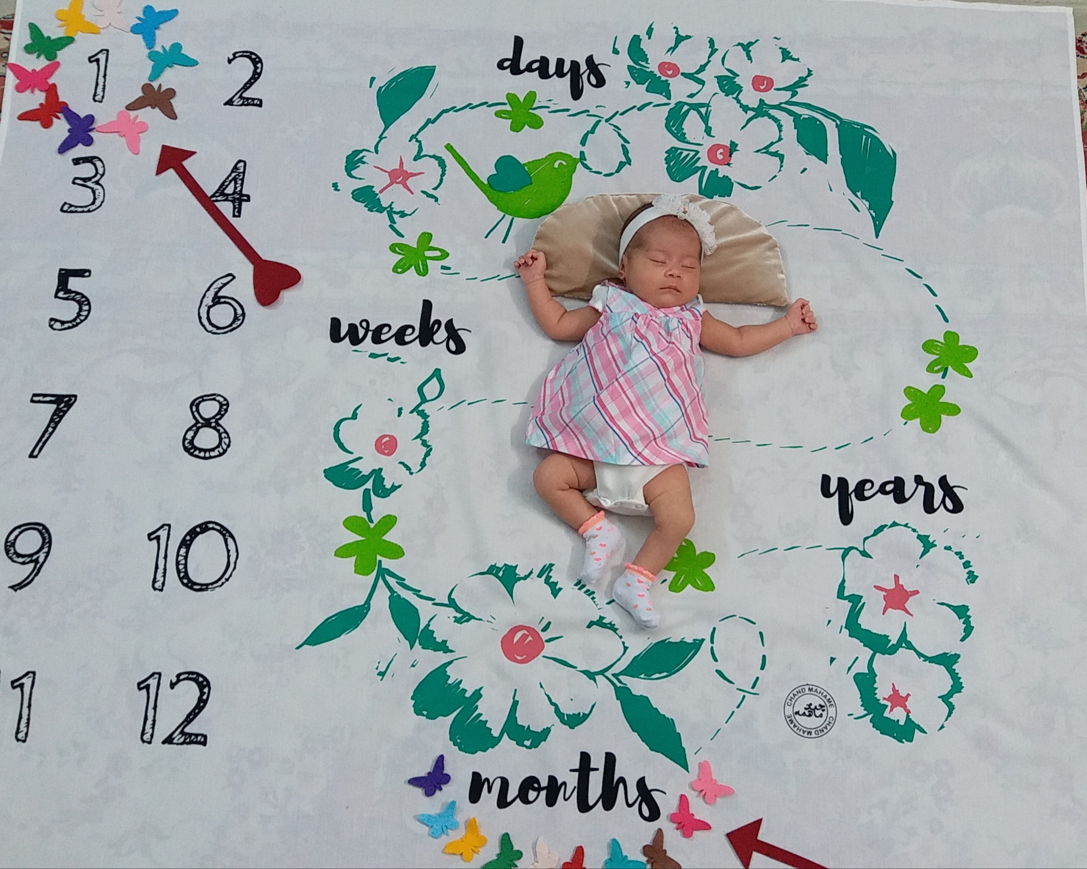 یک ماهگی نوزاد الینا ذاکرزاده فروشانی