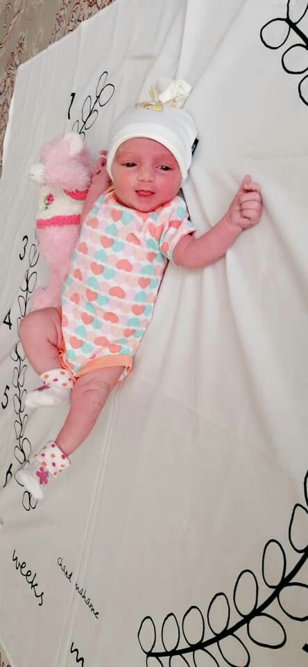 متولد شدن نوزاد دلوین سفیدی