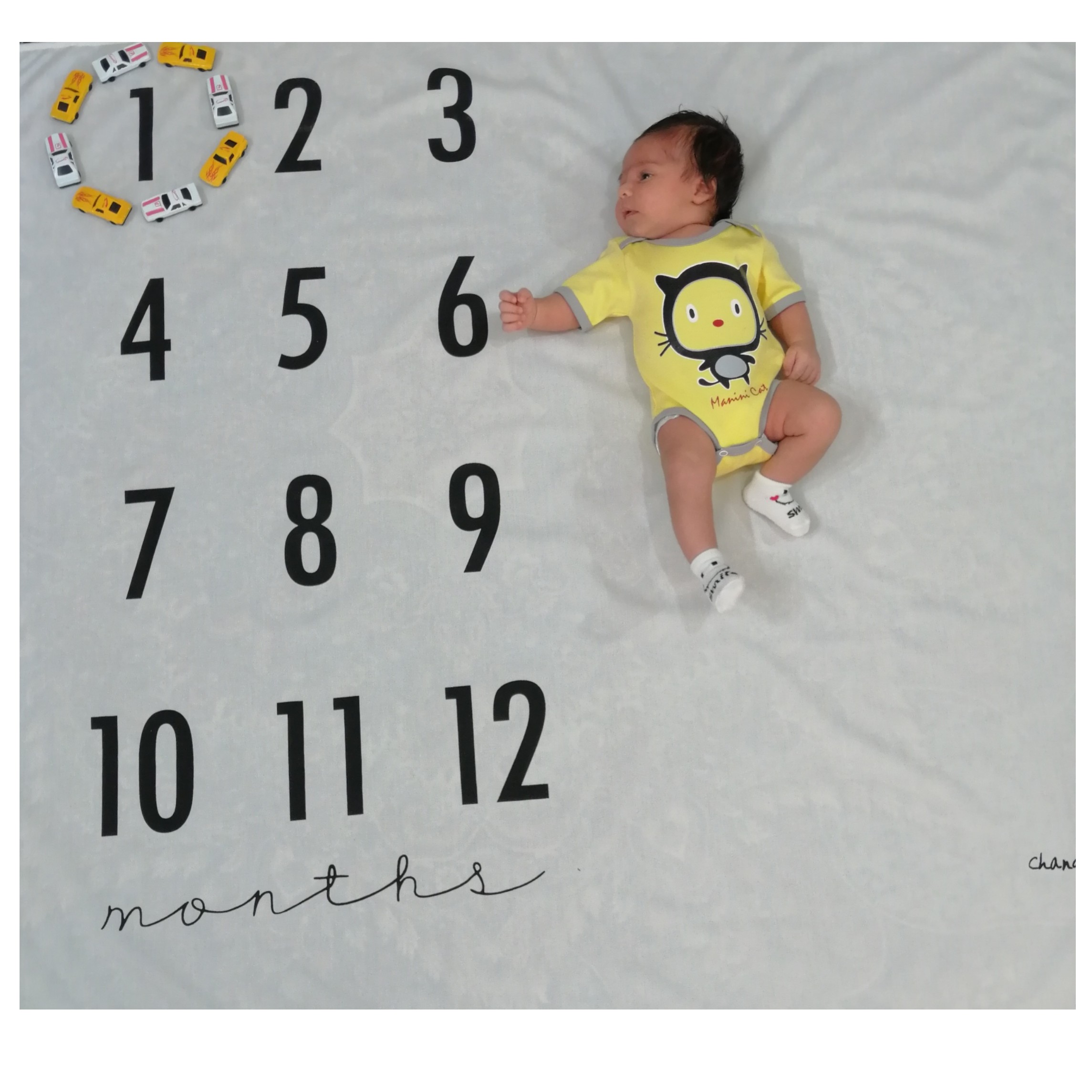 یک ماهگی نوزاد سید مهرسام موسوی