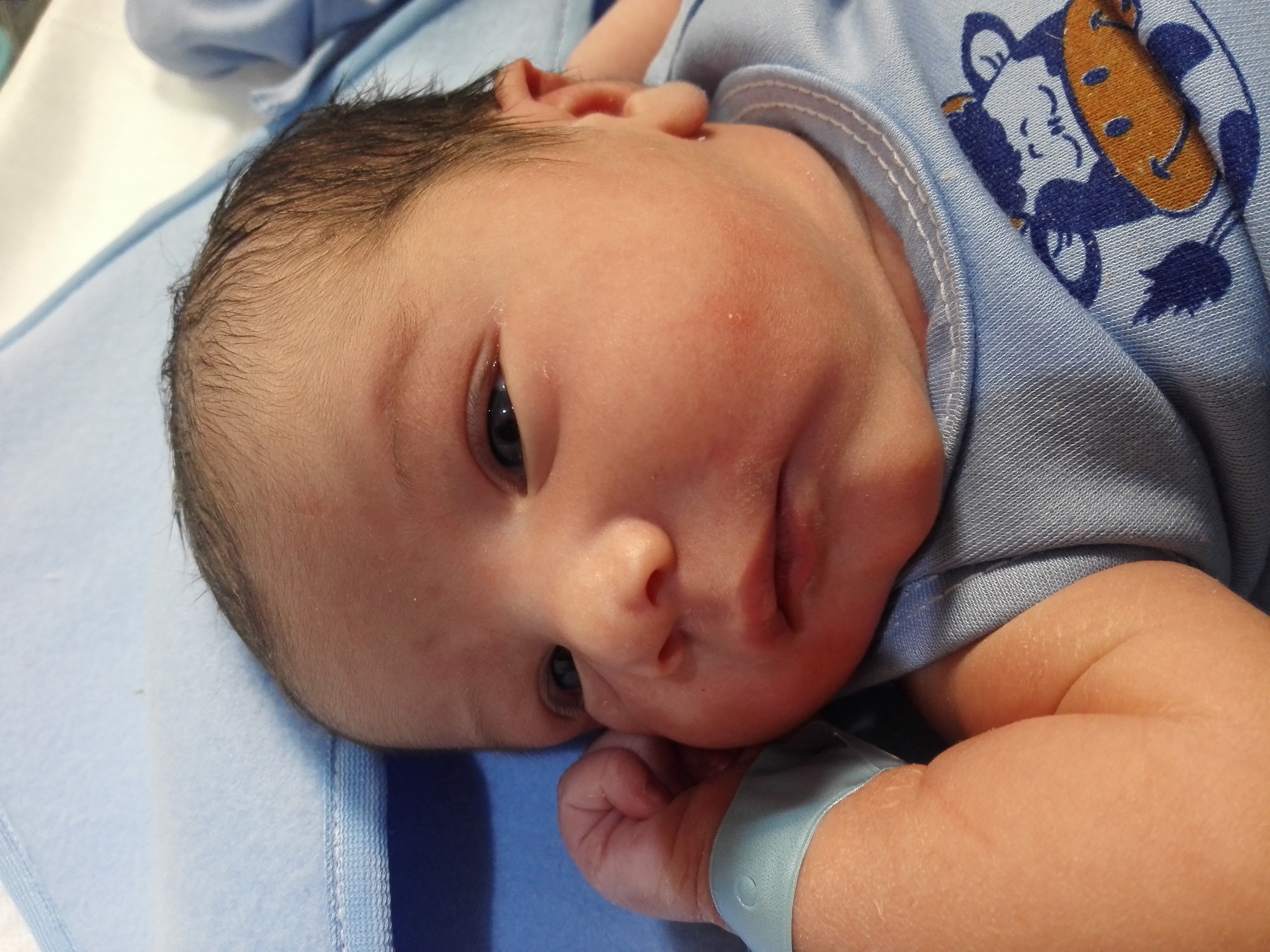 متولد شدن نوزاد امیر محمد شیخ