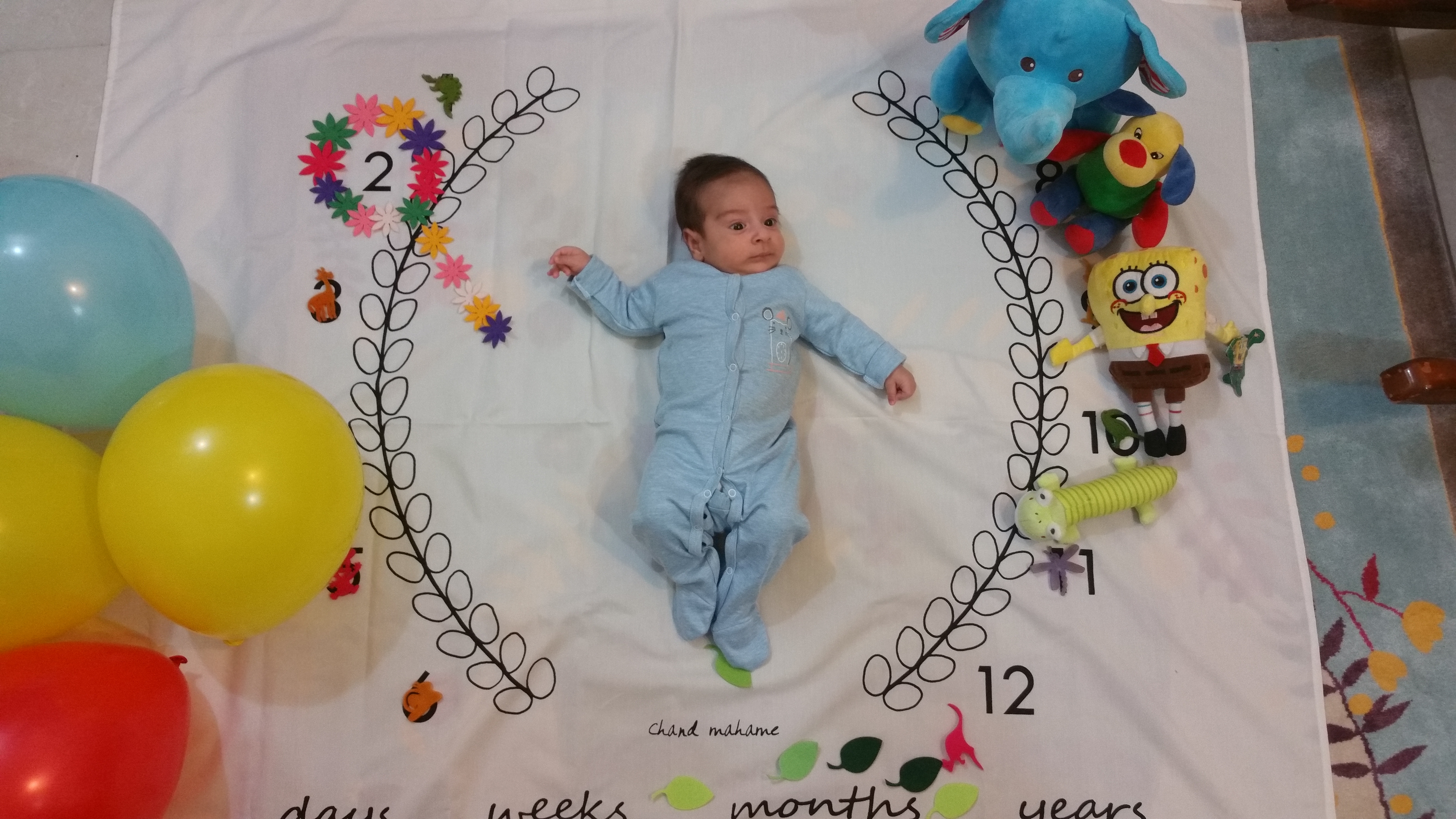 یک ماهگی نوزاد آرمین تابنده