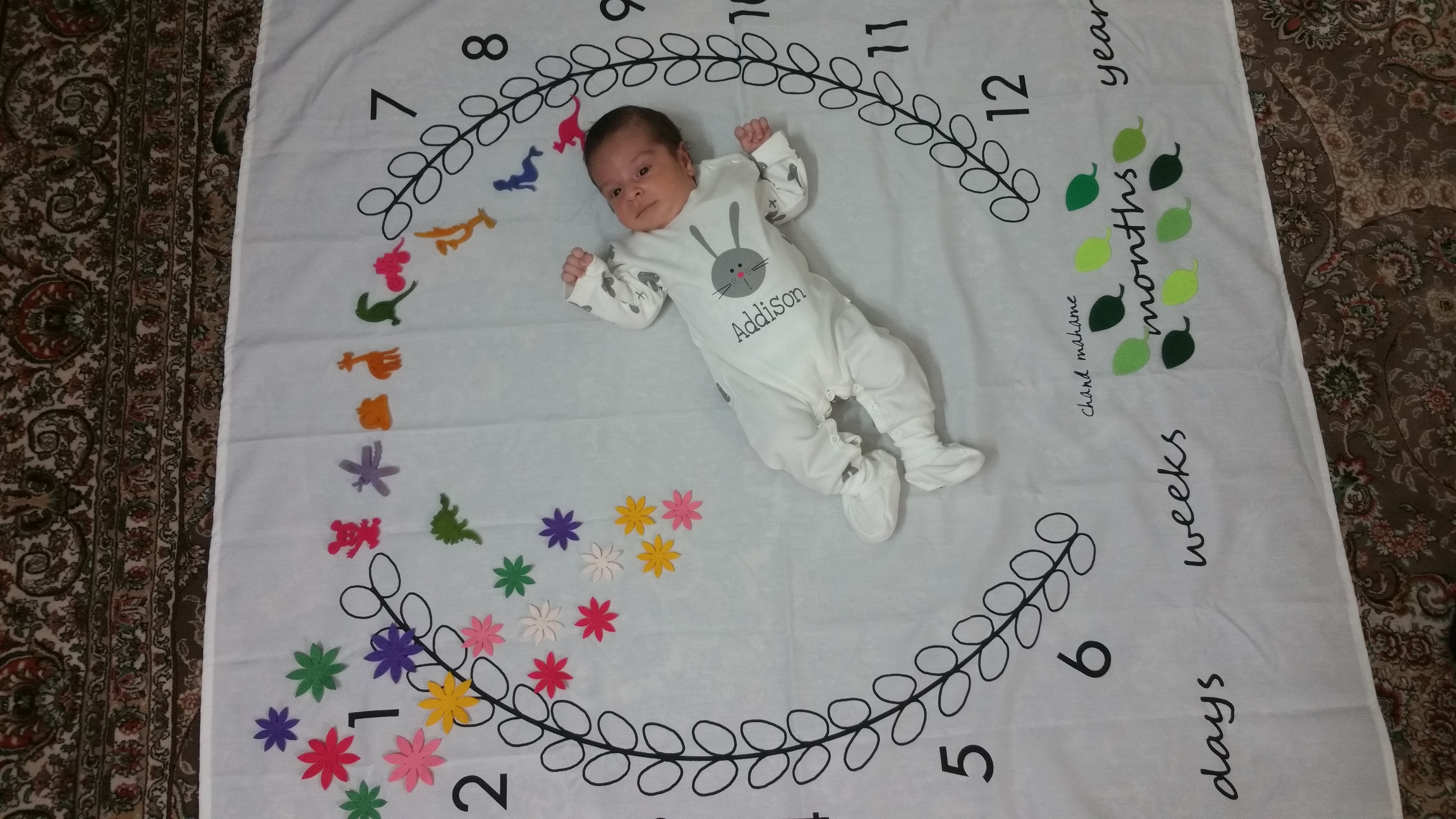 متولد شدن نوزاد آرمین تابنده