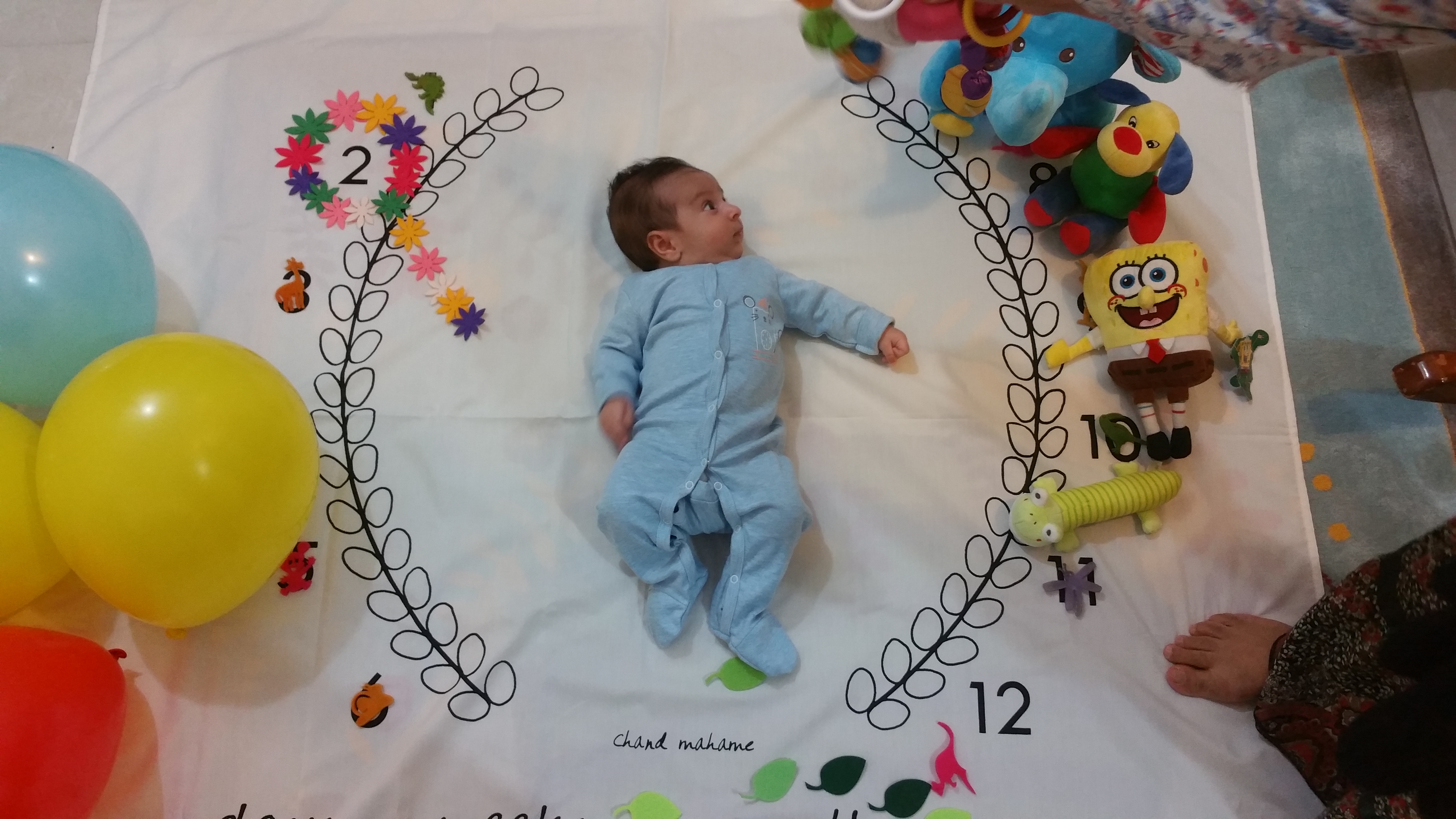 یک ماهگی نوزاد آرمین تابنده