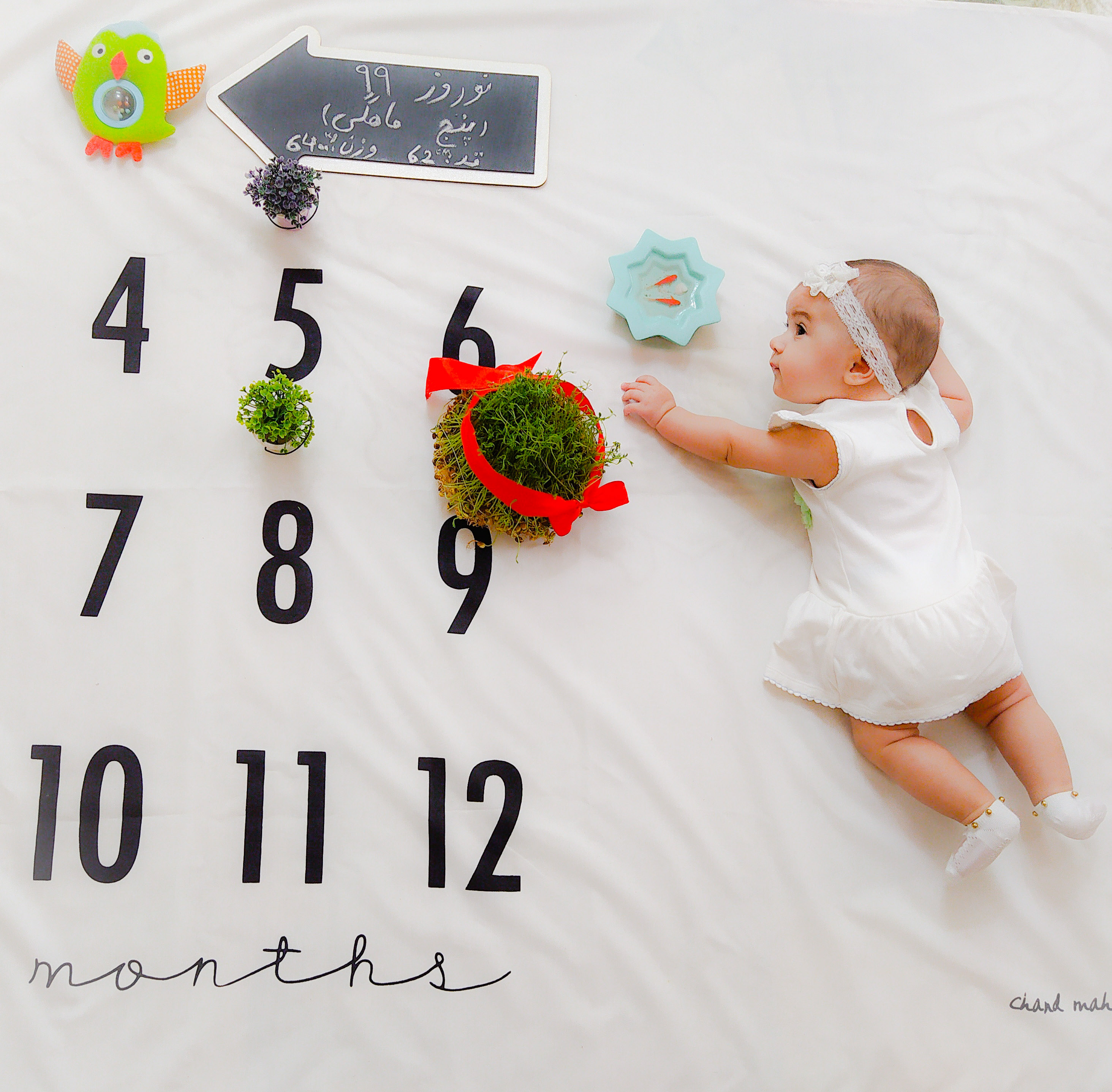 عکس نوزاد دختر مه یاس فلاح