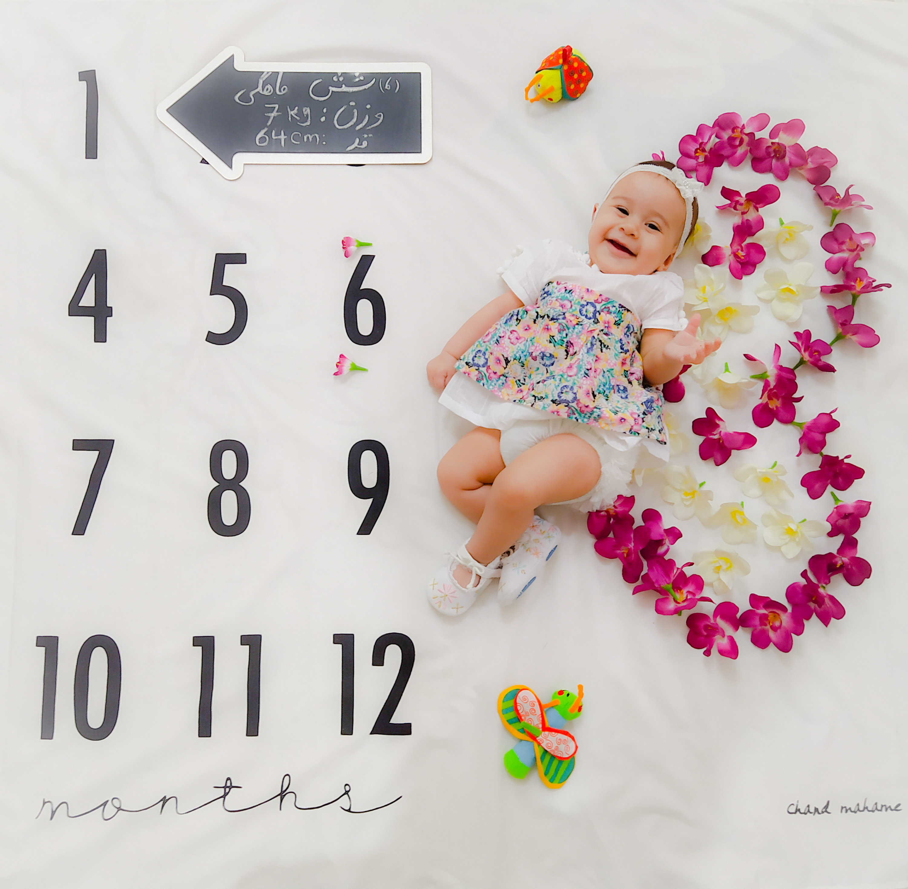 جشن دندونی نوزاد مه یاس فلاح